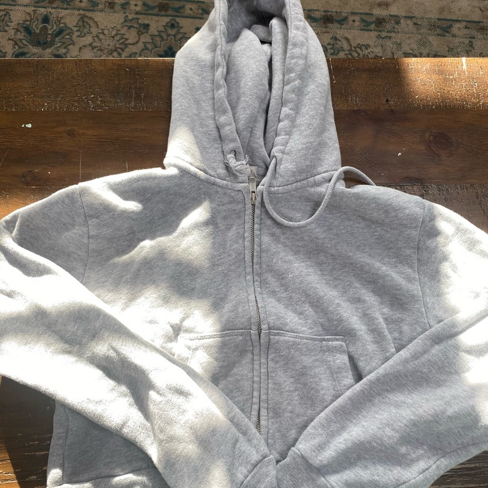 John Galt Heather gray cropped Crystal hoodie. Fits size XS-S. Lightly worn!